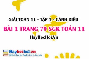 Giải bài 1 trang 79 Toán 11 tập 1 SGK Cánh Diều